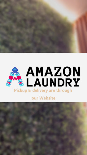 Amazon Laundry مصبغة امازون in Al Reem Island