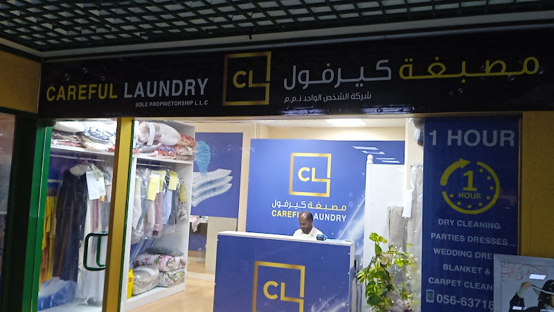 Careful Laundry Sole Proprietorship LLC in Al Reem Island