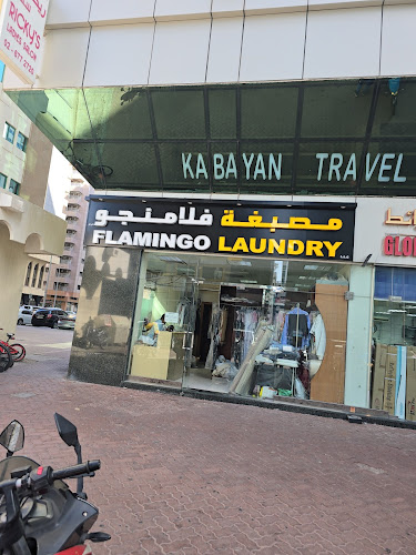 Flamingo Laundry Service in Al Reem Island